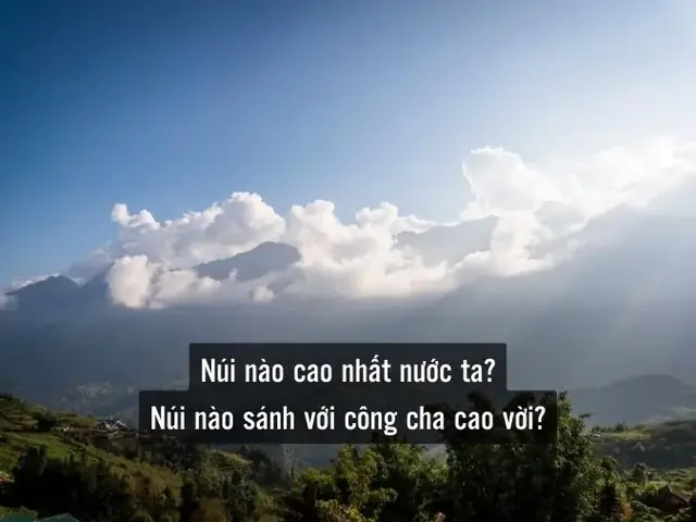 Câu Đố 10