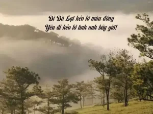 Cách Viết Caption Đà Lạt Hay, Ấn Tượng