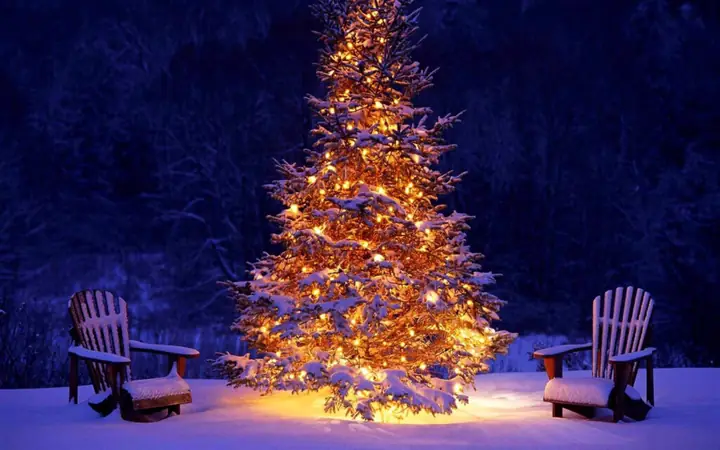 Cách Trang Trí Cây Thông Noel Qua Các Thời Kỳ