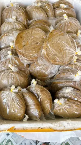 Các Loại Cá Này Khá Phổ Biến Ở Nước Ta