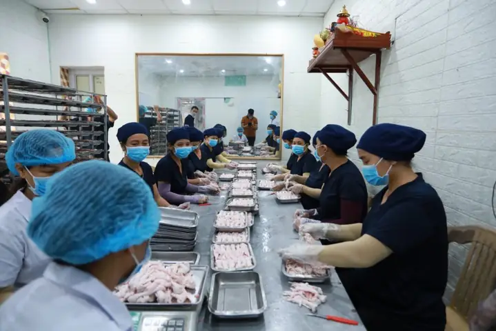 Vị Sao Lên Chọn Mua Chân Gà Rút Xương Hưng Thịnh Foods