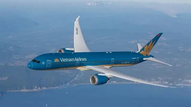 Cách Check In Online Vietnam Airlines, Làm Thủ Tục Trực Tuyến