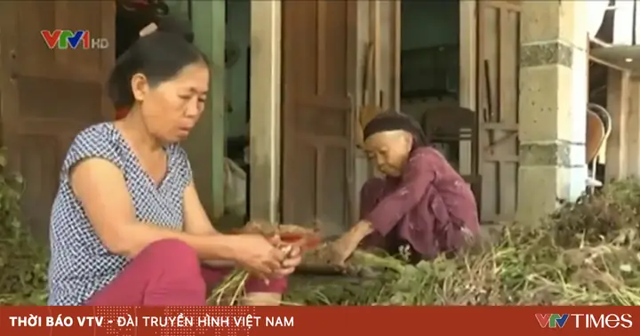 Tin Thầy Thuốc Rởm, Hàng Ngàn Dân Nghèo Tiền Mất, Tật Mang