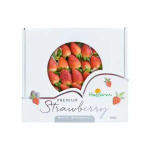 Dâu Tây Hasfarm 500gr, Đại Lộ Bd (thủ Dầu Một)