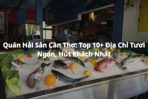 Chợ Đầu Mối Hải Sản Cần Thơ: Bí Quyết Tìm Nguồn Hàng