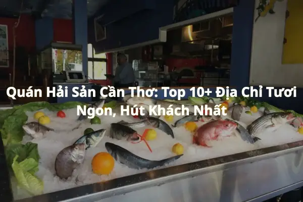Chợ Đầu Mối Hải Sản Cần Thơ: Bí Quyết Tìm Nguồn Hàng