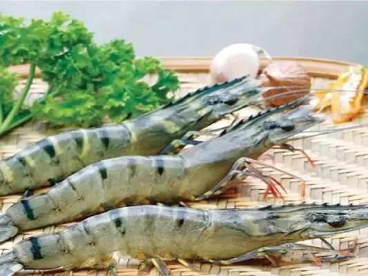 Cách Kiểm Tra Tôm, Cua, Ghẹ “chắc Thịt”, Không Bị Óp Cách Kiểm Tra Tôm, Cua, Ghẹ “chắc Thịt”, Không Bị Óp