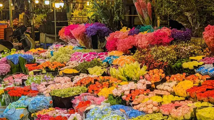 Ghé Thăm Chợ Hoa Quảng Bá - Xứ Sở Hoa Lớn Nhất Hà Nội | Xanh Sm