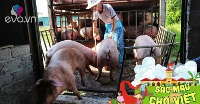 Chợ Lợn Lớn Nhất Miền Bắc Ở Hà Nam, Mở Quanh Năm Chỉ Nghỉ ... Chợ Lợn Lớn Nhất Miền Bắc Ở Hà Nam, Mở Quanh Năm Chỉ Nghỉ ...