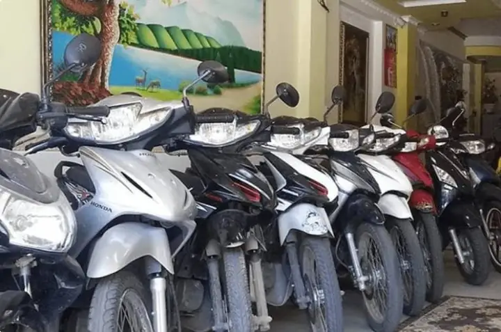 Cửa Hàng Bách Diệp