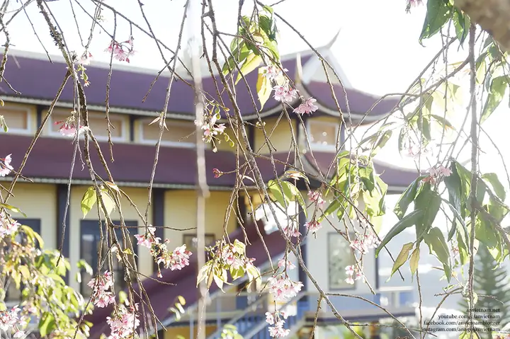 Chùa A Dục Vương Thiền Viện Trúc Lâm Từ Nguyên