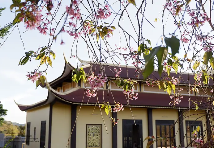 Chùa A Dục Vương Thiền Viện Trúc Lâm Từ Nguyên