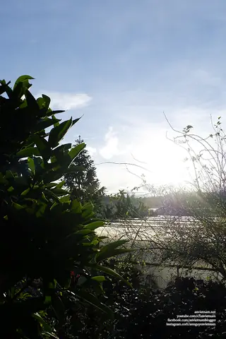 Chùa A Dục Vương Thiền Viện Trúc Lâm Từ Nguyên