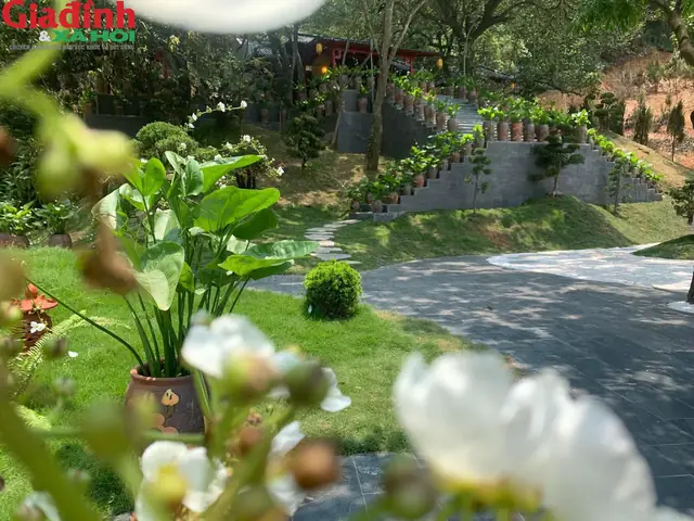 Về Cảnh Quan Trong Chùa - Nơi Du Khách Và Các Phật Tử Tham Quan