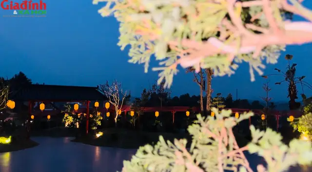 Về Cảnh Quan Trong Chùa - Nơi Du Khách Và Các Phật Tử Tham Quan