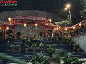 Đôi Nét Về Chùa Cây Thị Ở Hà Nam
