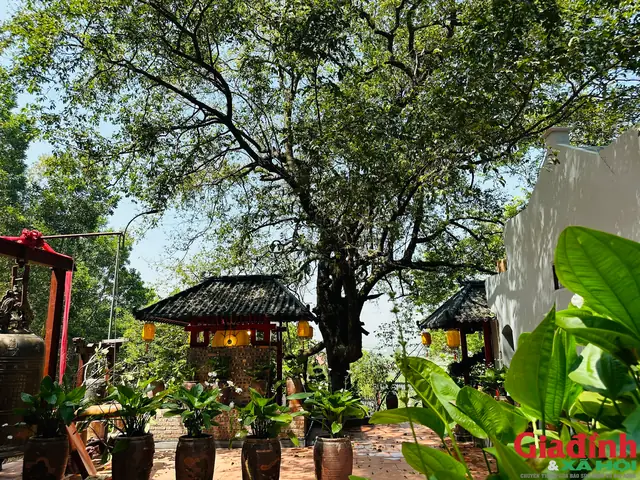 Về Cảnh Quan Trong Chùa - Nơi Du Khách Và Các Phật Tử Tham Quan