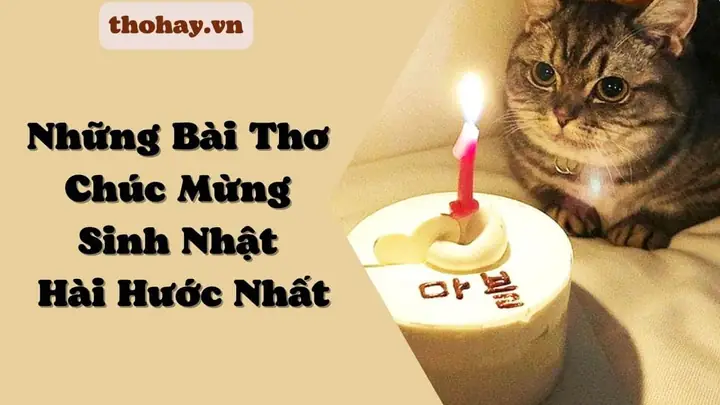 Những Bài Thơ Chúc Mừng Sinh Nhật Chú Bác Hay Nhất
