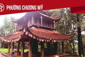 Phường Chương Mỹ: Tất Cả Thông Tin Chỉ Dẫn Bạn Cần Biết - Đài ...