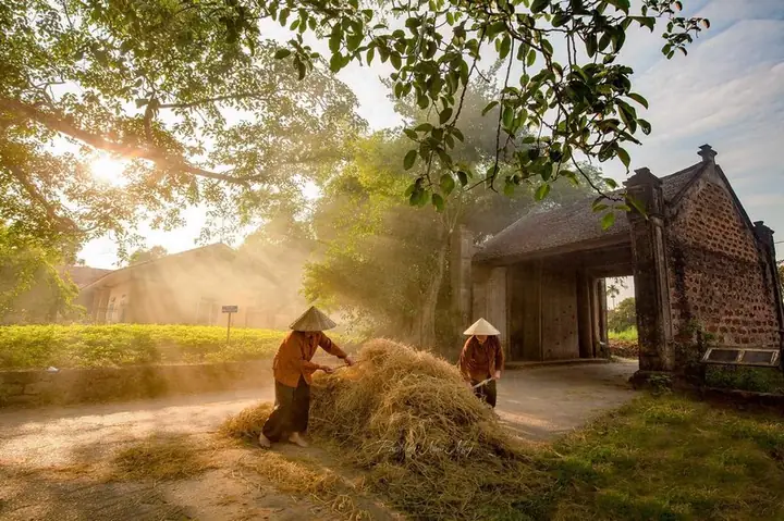 Cổng Làng