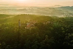 Đan Viện Thiên An Huế: Chốn Bình Yên Giữa Rừng Thông Xứ Cố Đô