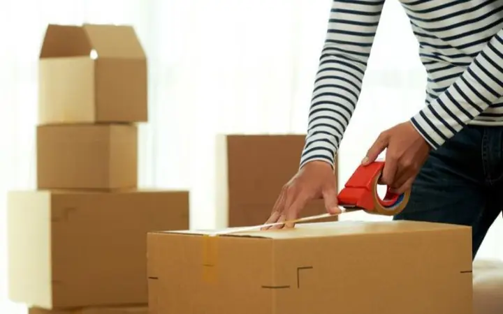 Cách Mang Sầu Riêng Lên Máy Bay?