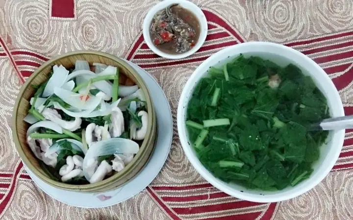 Giới Thiệu