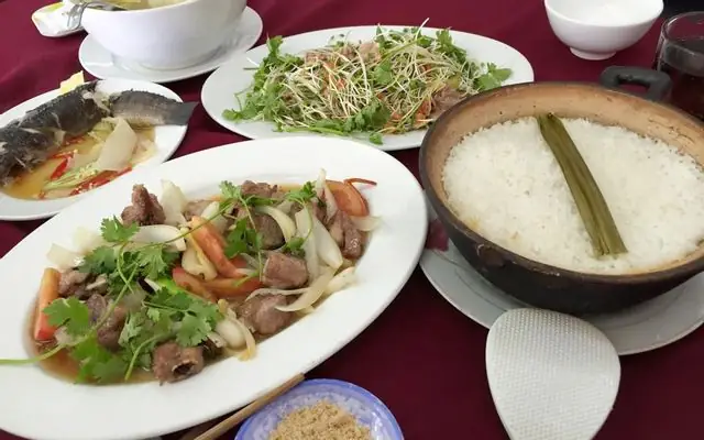 Giới Thiệu