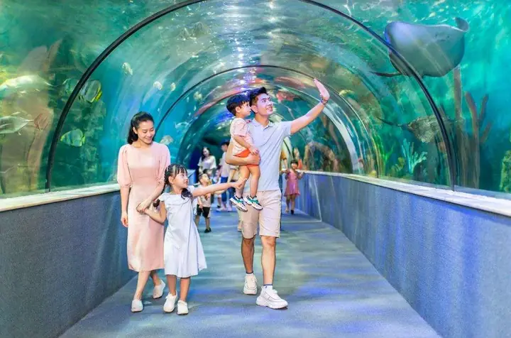 11. Cơm Rang 29 Bà Triệu – Địa Chỉ Cơm Rang Dưa Bò Ngon Ở Hà Nội