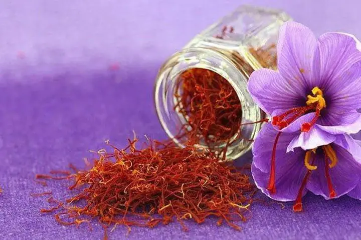 Nhụy Hoa Nghệ Tây ( Saffron )