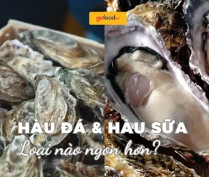 So Sánh Hàu Đá Và Hàu Sữa - Loại Nào Ngon Hơn?