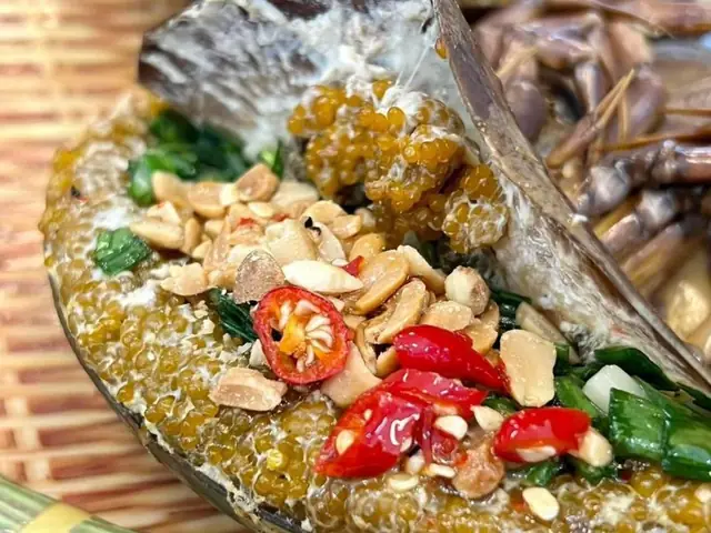 Nên Làm Gì Khi Gặp Sam Biển Nên Làm Gì Khi Gặp Sam Biển