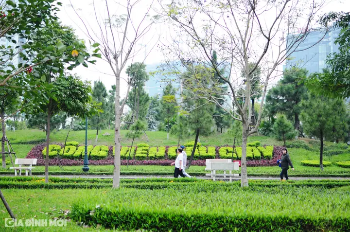 Công Viên Cầu Giấy - Một Trong Những Công Viên Đẹp Nhất Lòng Thủ ...