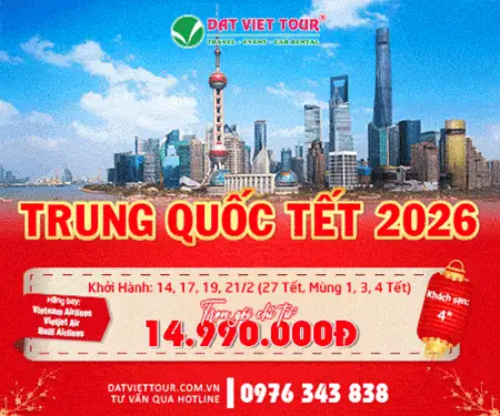 Cãng Ty Cp Đầu Tư Tm Dv Du Lịch Đất Việt