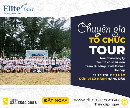 Cãng Ty Tnhh Elite Tour