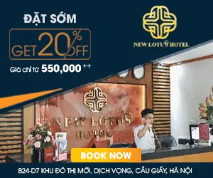 Cãng Ty Tnhh Tm Dv Vã Sản Xuất Tiến Dũng - New Lotus Hotel