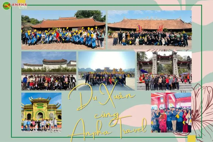 14. Công Ty Cp Du Lịch Quốc Tế Anpha