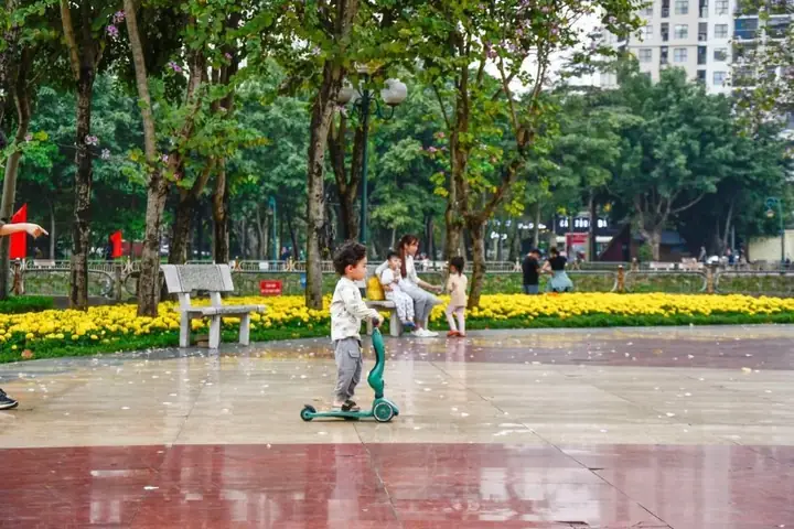 Khám Phá Các Khu Vực Đặc Sắc Trong Công Viên Cầu Giấy