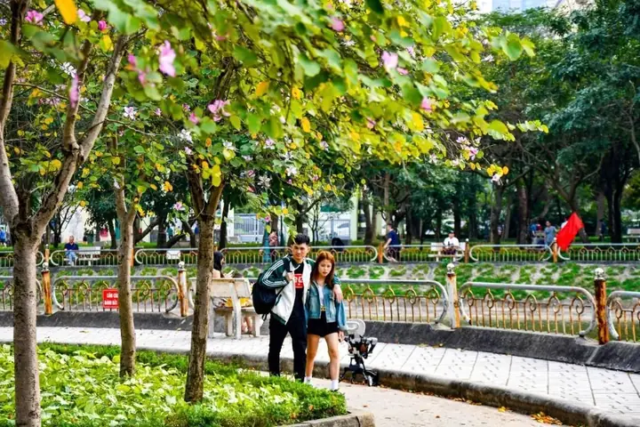 Chơi Gì Ở Công Viên Cầu Giấy? - Những Hoạt Động Thú Vị