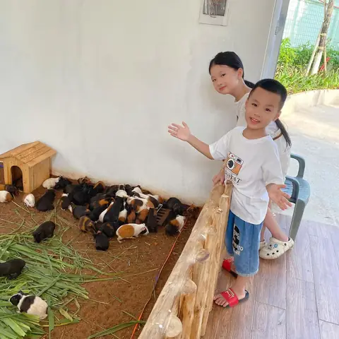 Nông Trại Vui Vẻ Happy Farm