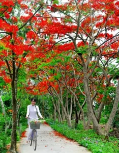 Các Điểm Vui Chơi Giải Trí
