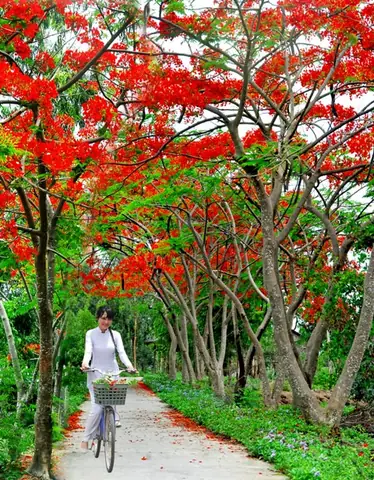 Các Điểm Vui Chơi Giải Trí