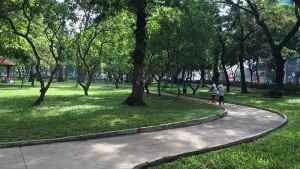 Công Viên Lê Văn Tám: Khám Phá Lá Phổi Xanh Giữa Sài Gòn