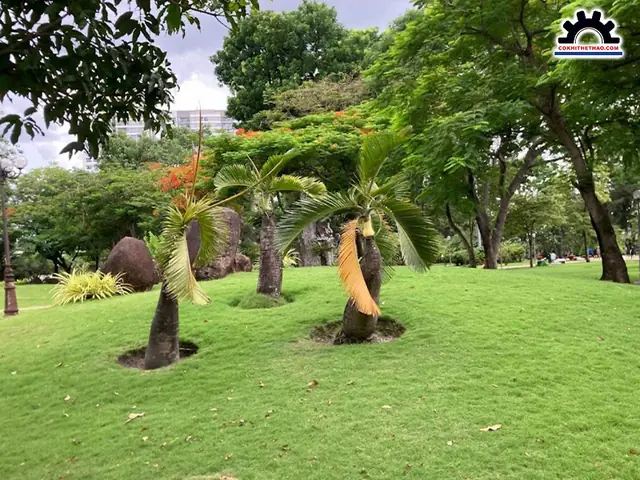 Công Viên Lớn Nhất Sài Gòn Ở Đâu?