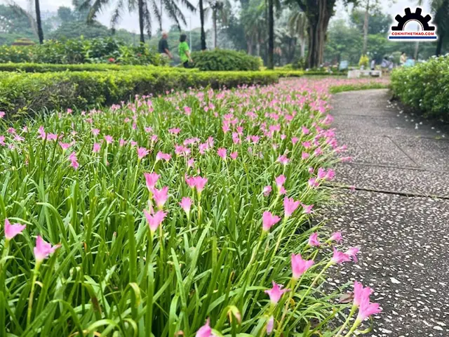 Biểu Tượng Của Lối Sống Bền Vững