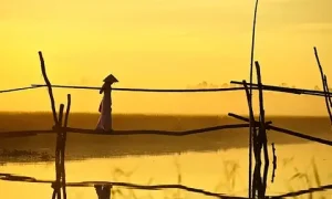 Những Năm Tháng Ấu Thơ Đáng Nhớ - Báo Vnexpress