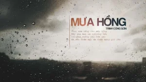 Cảm Nhận Âm Nhạc: Mưa Hồng - Cuộc Đời Đó Có Bao Lâu Mà Hững ...