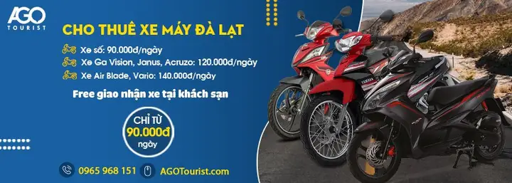 Dự Báo Thời Tiết Đà Lạt Và Đặc Điểm Thời Tiết Các Tháng Trong Năm