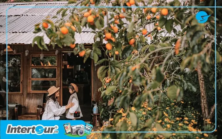 Đà Lạt Bao Nhiêu Độ? Tìm Hiểu Thời Tiết Từng Mùa