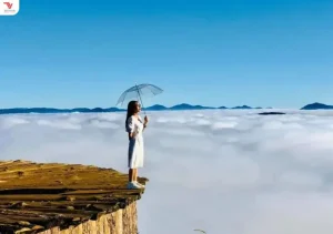 Thiên Đường Săn Mây